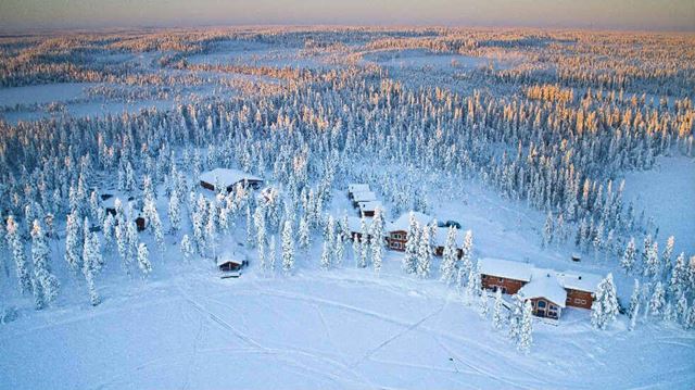 Pine tree lodges in Lapland covered in snow